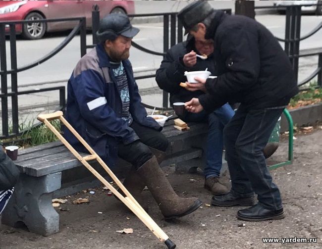 НИБФ и мечеть "Ярдэм" запустили благотворительную акцию направленную на кормление бездомных