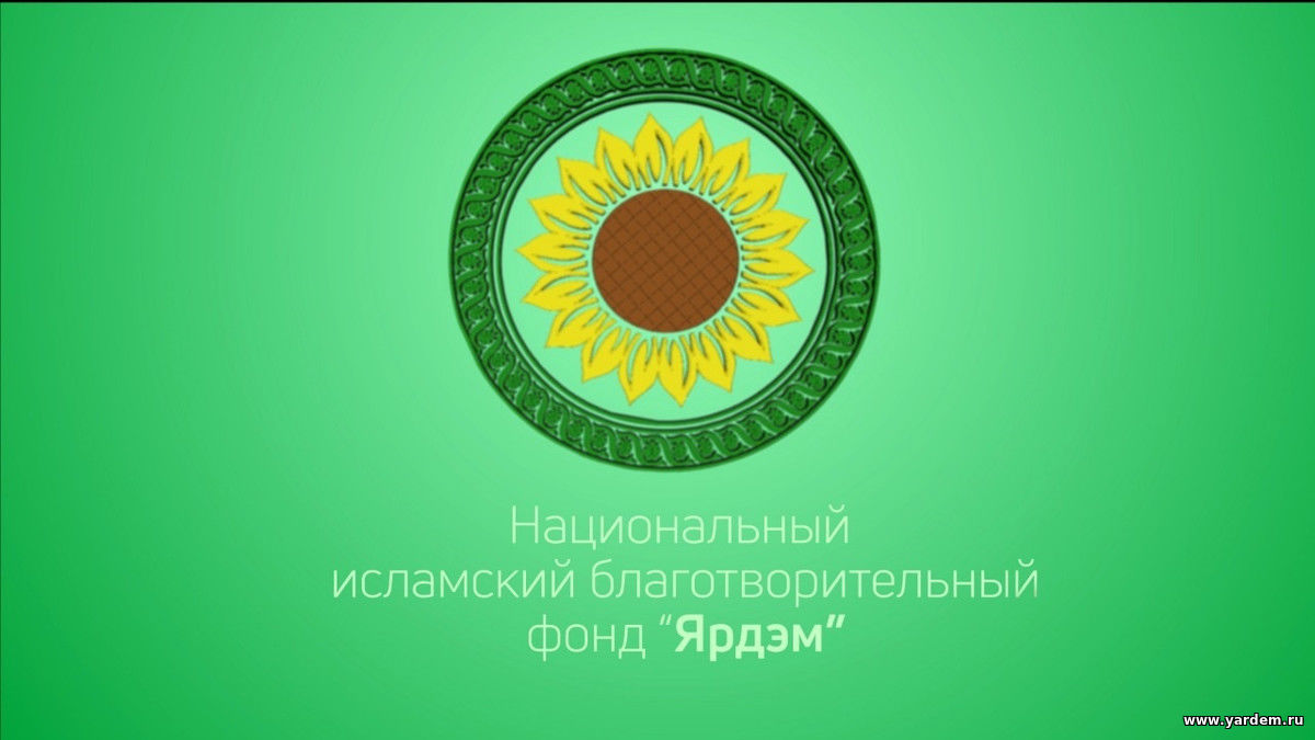 Августовский выпуск видеожурнала Благотворительного фонда "Ярдэм" - на Ютуб канале фонда